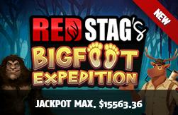 Red Stag Casino Deposit Bonus